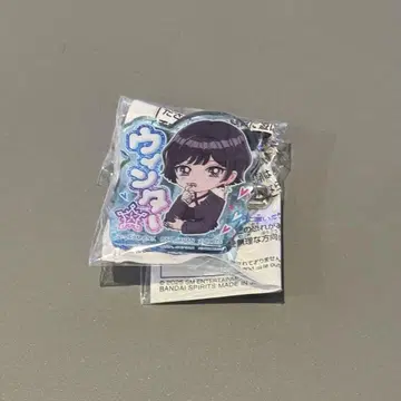 aespa 이름 아크릴 배지 남코 한정판 윈터