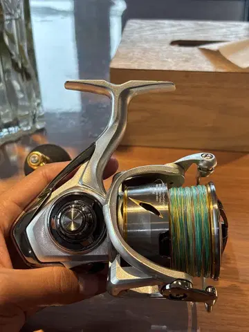 Daiwa FREAMS LT6000D-H 스피닝 릴
