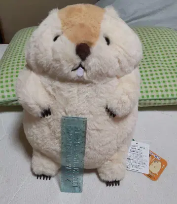 마모트의 모토토 봉제 인형