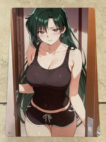 메이오 세츠나 양철 간판