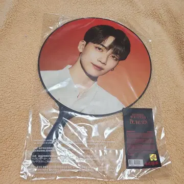 정한 be the sun 도서 부채
