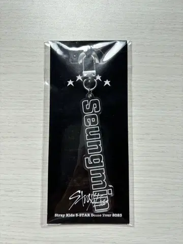 straykids 승민 아크릴 키링 키링