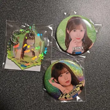 이쿠타 에리나 모바 가챠 세트