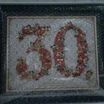 디즈니 리조트 30주년 한정판 핀 배지