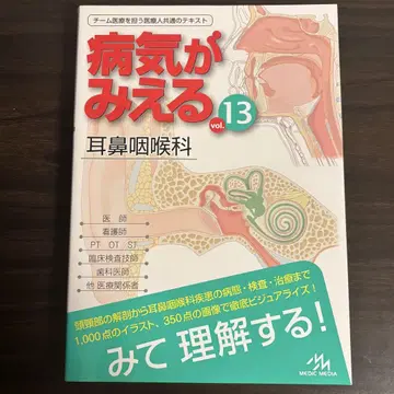 질병이 보이는 13 이비인후과