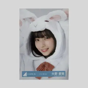 오노 마나미 동물 인형옷