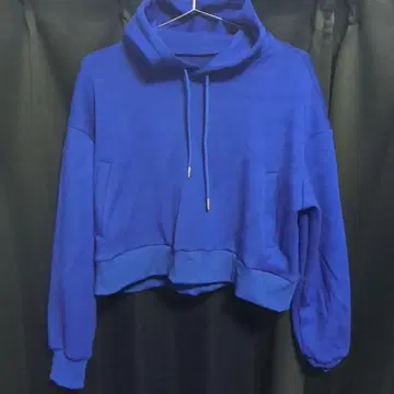 파랑 크롭 후드 부착 후드티
