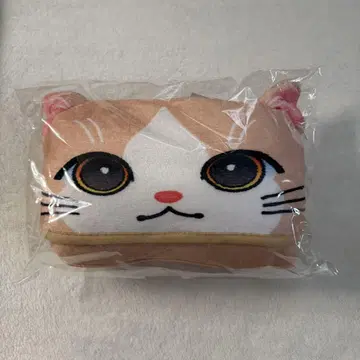 후지와라 키 프로 담요