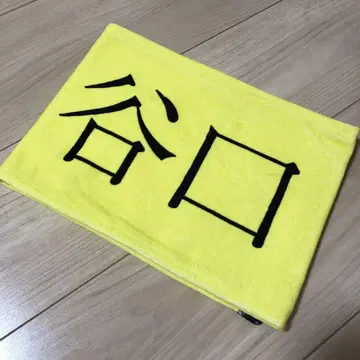 사쿠라자카46 타니구치 아이리 인정 욕구 타월
