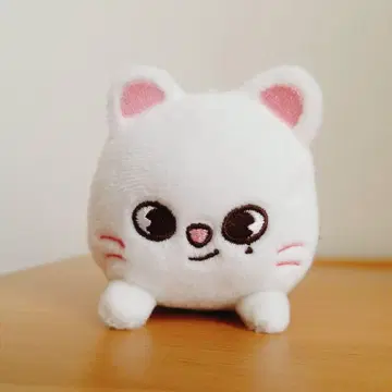 StrayKids SKZOO 백 참 지니 레트