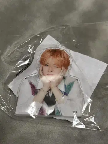 TREASURE 요시 클립