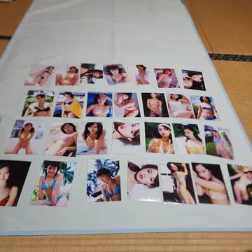 사와지리 에리카 씨 L판 28장 여배우