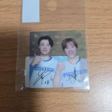 파이터즈 사치토라 스티커