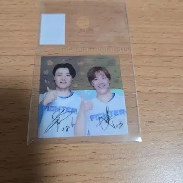 파이터즈 사치토라 스티커