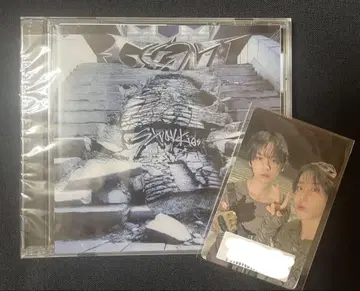 straykids 스키즈 자이언트 일반ver 유닛 된장
