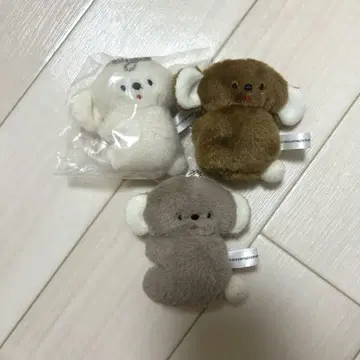 니코야마 포케 앉은 코알라 봉제 인형 3개 세트