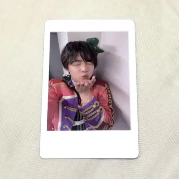 팬더 드래곤 나기 하피카