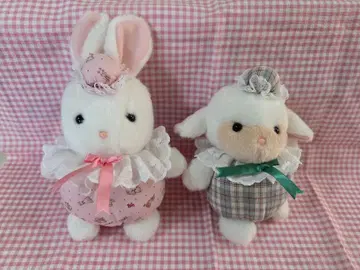 죽순 쁘띠 브란데토 (미니) 봉제 인형 세트