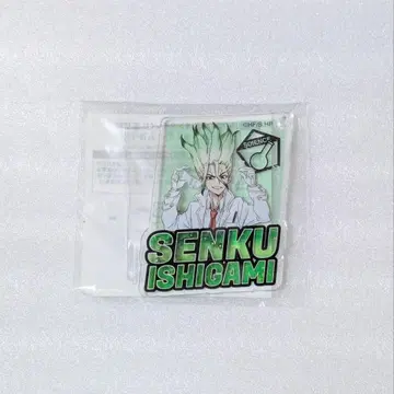 Dr.STONE 이시가미 치쿠루 아크릴 키링 네임 키링 C상