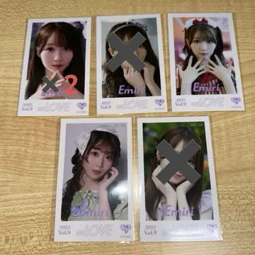 =LOVE 미니 사진 vol.9 오타니 에미리