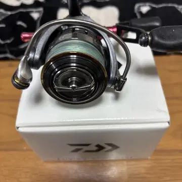 15 루비아스 2508PE-DH