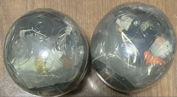 원피스의 열매