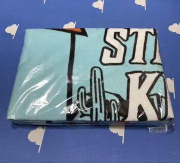 Stray Kids 스키즈 비치 타월