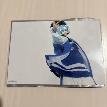 SneakerStep 랜덤 브로마이드 STPR EXPO 오사데이