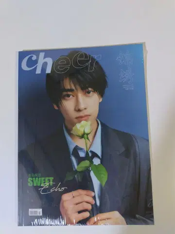혼토 준마사 cheer
