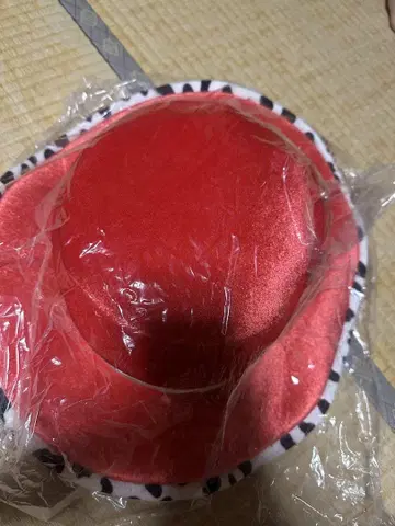 디즈니 제시 팬 캡