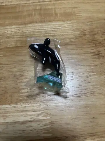 고베 스마 씨월드 오카미 컬렉션