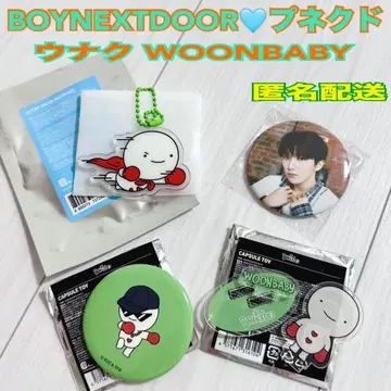 boynextdoor 보넥도 푸넥도 아크링 키링 캡슐 토이 운학
