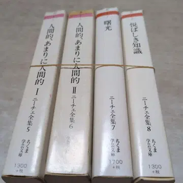 니체 전집 4권