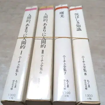 니체 전집 4권