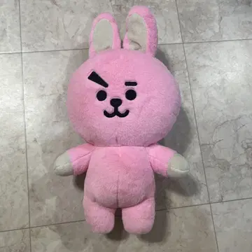Cooky 봉제 인형