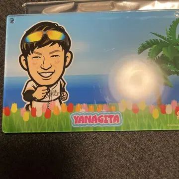야나기타 유키 와카타카 가챠