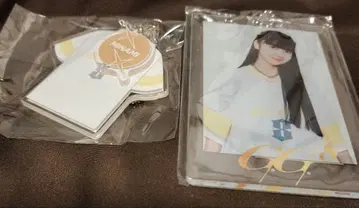 girls2 걸걸 에이트 B상 어패럴형 키링 히시타 미나미