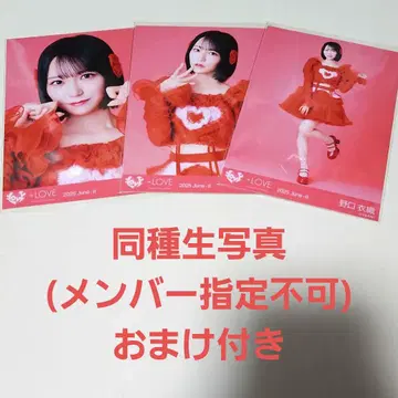 노구치 이오리 브로마이드