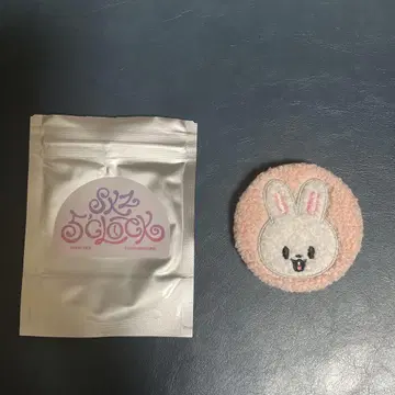 Stray kids 스키즈 펜미 캔뱃지 Lee 비트