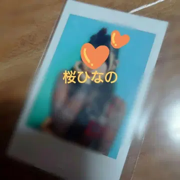 벚꽃 히나노 폴라로이드 이기나리 도호쿠산