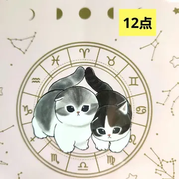 세리아 모프 샌드 12개