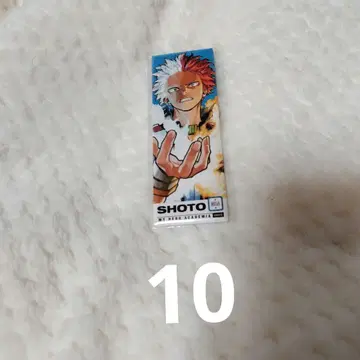 히로아카 토도로키 쇼토 그림 카드 캔뱃지 10개