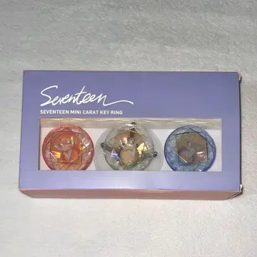 세븐틴 미니 캐럿 키링