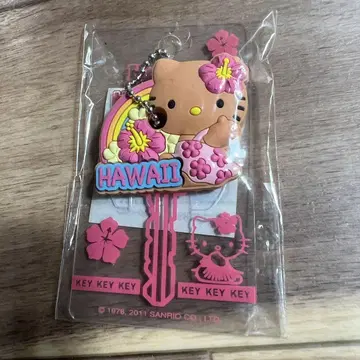 하와이 한정판 키티 키 커버 현지 기념품