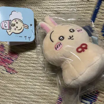 치이카와 (먼작귀)