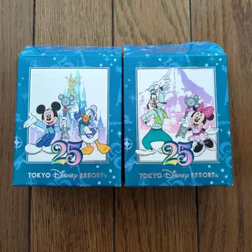 디즈니 리조트 25주년 피규어