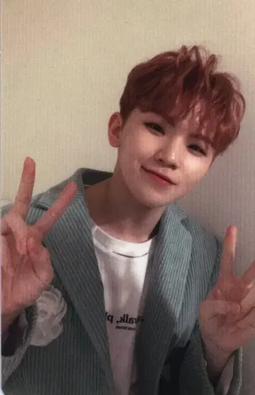 SEVENTEEN 일반ver WOOZI 춤추듯 떨어지는 꽃잎