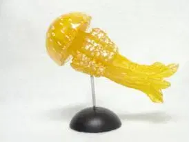 카이요도 아쿠아 테일즈 / 폴리스톤 버전 [문어 해파리]