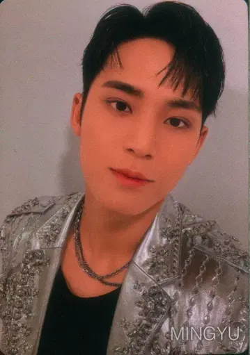 세븐틴 MINGYU 카라모바