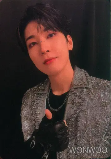 세븐틴 원우 카라모바